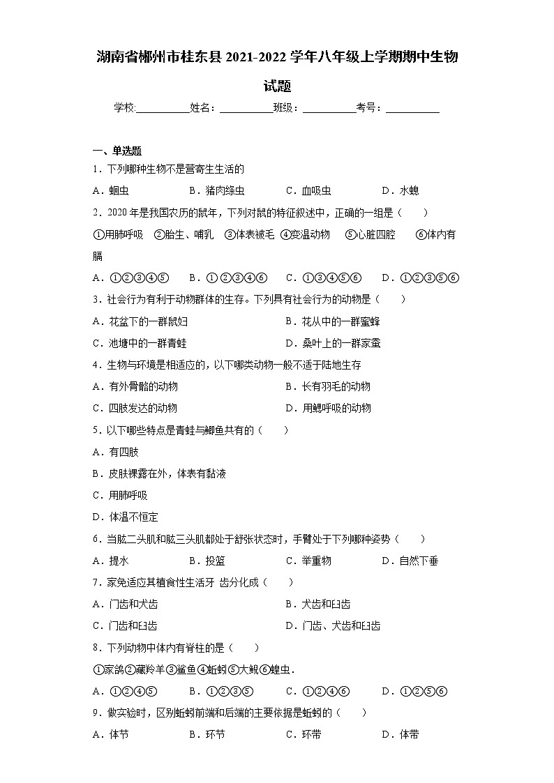 湖南省郴州市桂东县2021-2022学年八年级上学期期中生物试题（word版 含答案）01