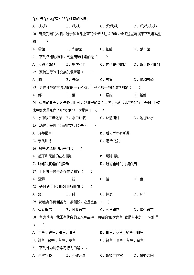 湖南省郴州市桂东县2021-2022学年八年级上学期期中生物试题（word版 含答案）03