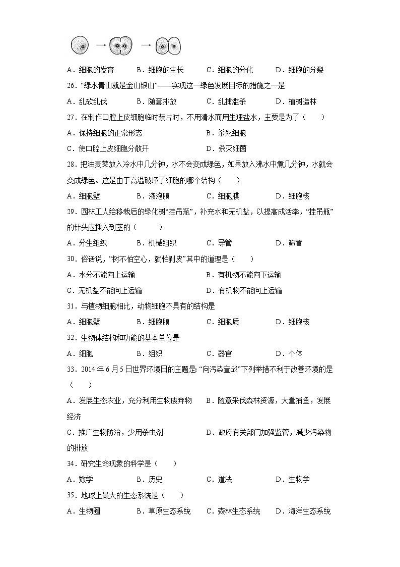 海南省儋州市2021-2022学年八年级上学期期中生物试题（word版 含答案）第3页