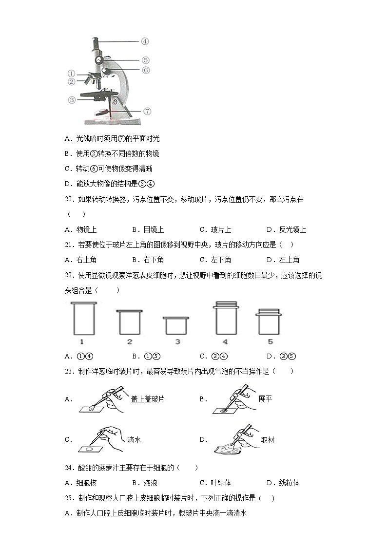 广东省河源市2021-2022学年七年级上学期期中生物试题（word版 含答案）03