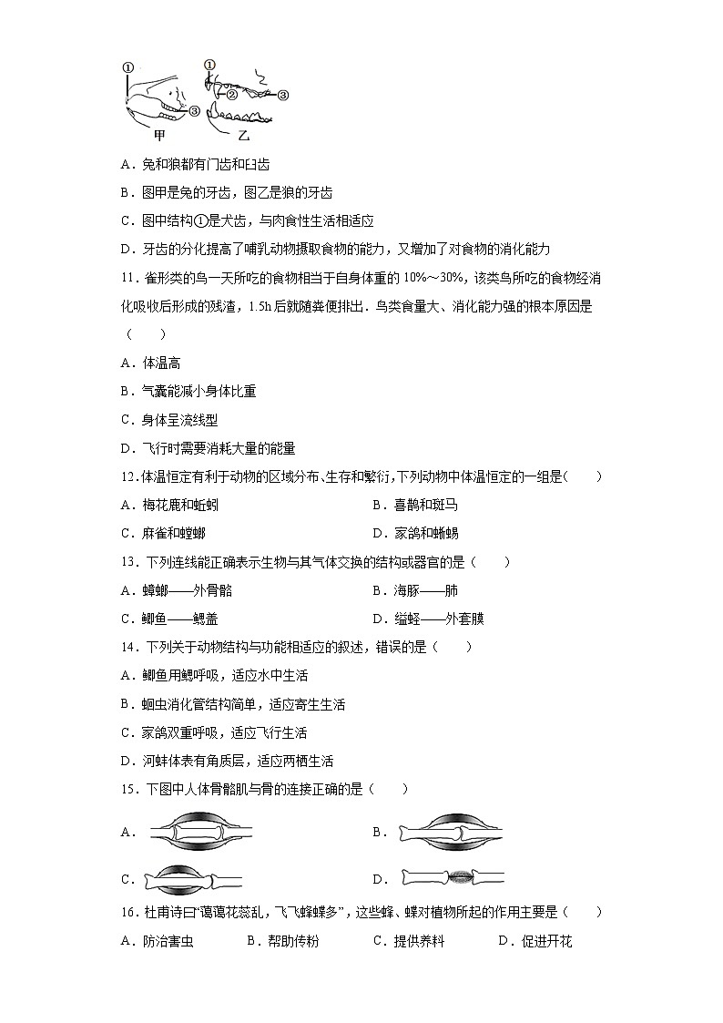 福建省福州市2021-2022学年八年级上学期期中生物试题（word版 含答案）第2页