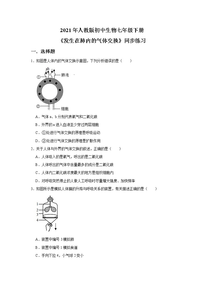 人教版生物七年级下册《发生在肺内的气体交换》课件（送教案+练习）01