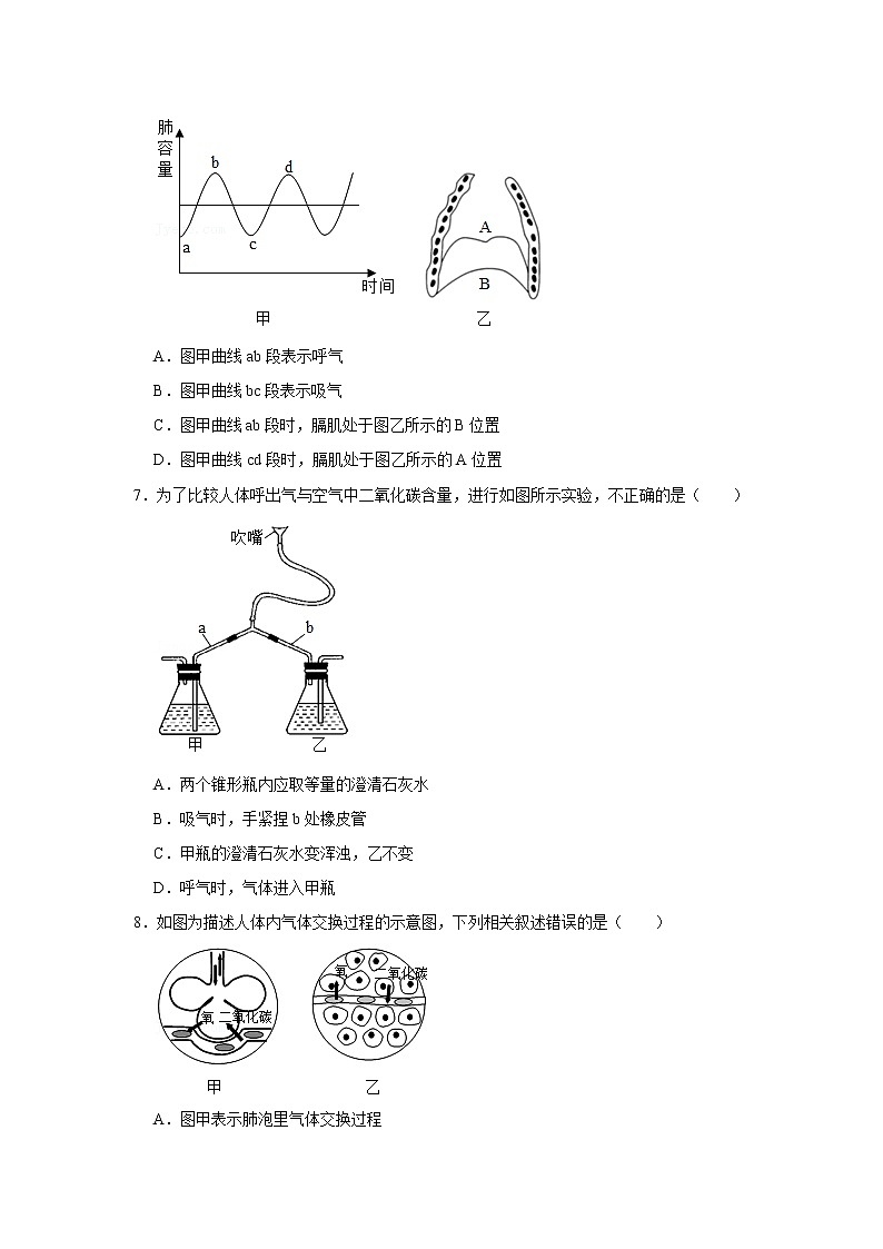 人教版生物七年级下册《发生在肺内的气体交换》课件（送教案+练习）03