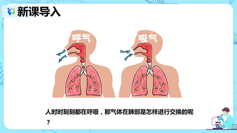 人教版生物七年级下册《发生在肺内的气体交换》课件（送教案+练习）03