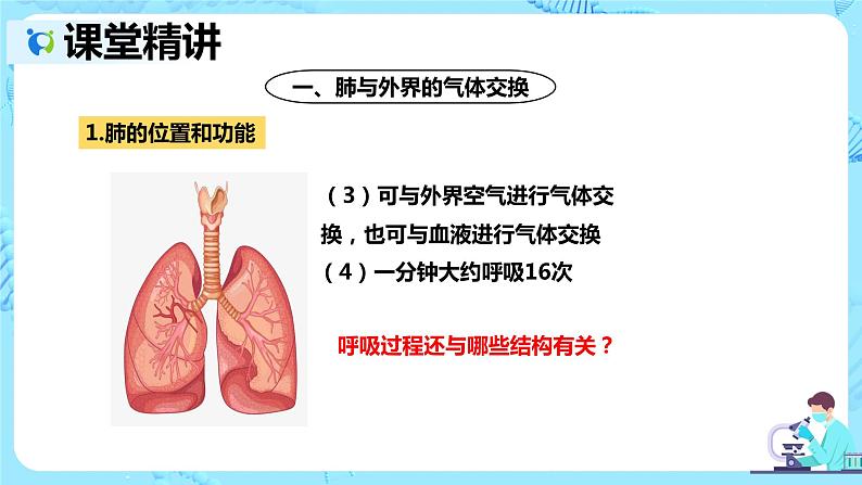 人教版生物七年级下册《发生在肺内的气体交换》课件（送教案+练习）06