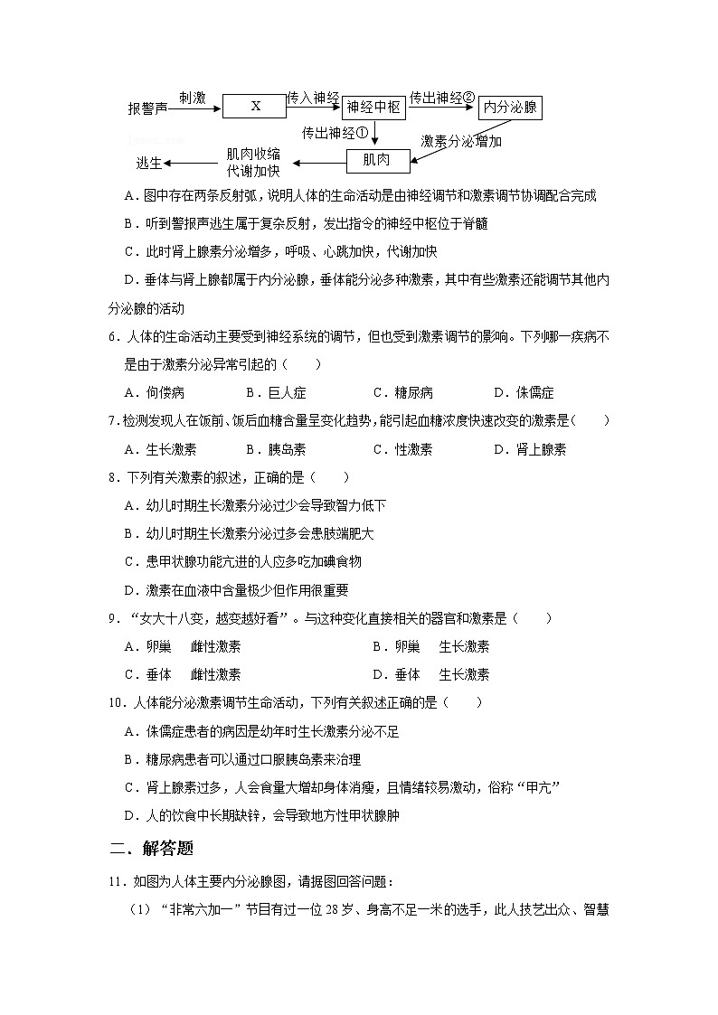 人教版生物七年级下册《激素调节》同步练习第2页