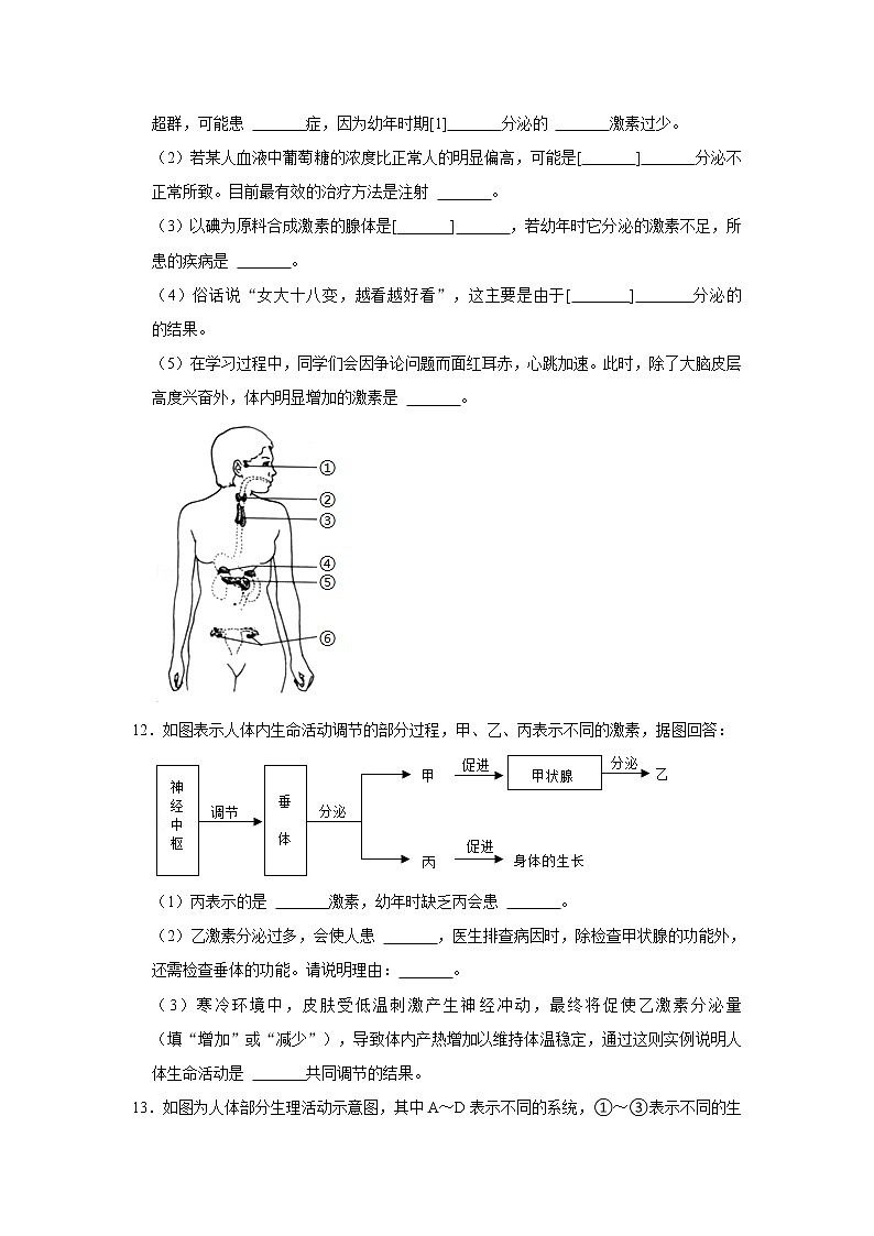 人教版生物七年级下册《激素调节》同步练习第3页