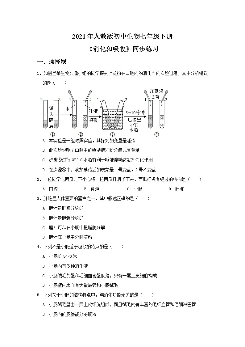 人教版生物七年级下册《消化和吸收》课件（送教案+练习）01