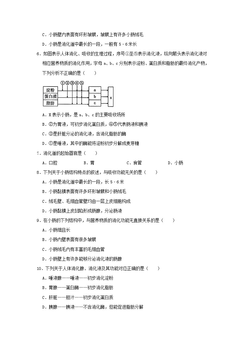 人教版生物七年级下册《消化和吸收》课件（送教案+练习）02