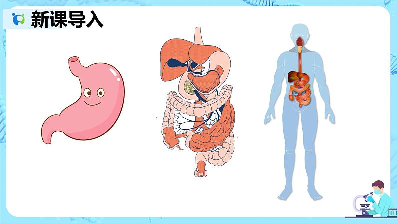 人教版生物七年级下册《消化和吸收》课件（送教案+练习）02