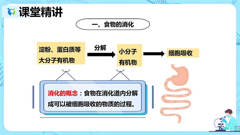 人教版生物七年级下册《消化和吸收》课件（送教案+练习）06