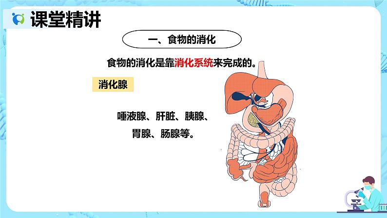 人教版生物七年级下册《消化和吸收》课件（送教案+练习）08