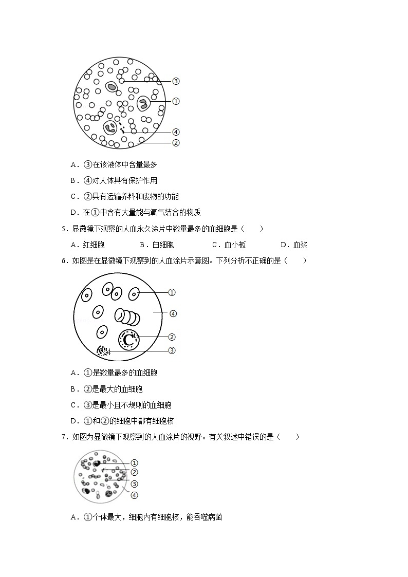 人教版生物七年级下册《流动的组织——血液》课件（送教案+练习）02