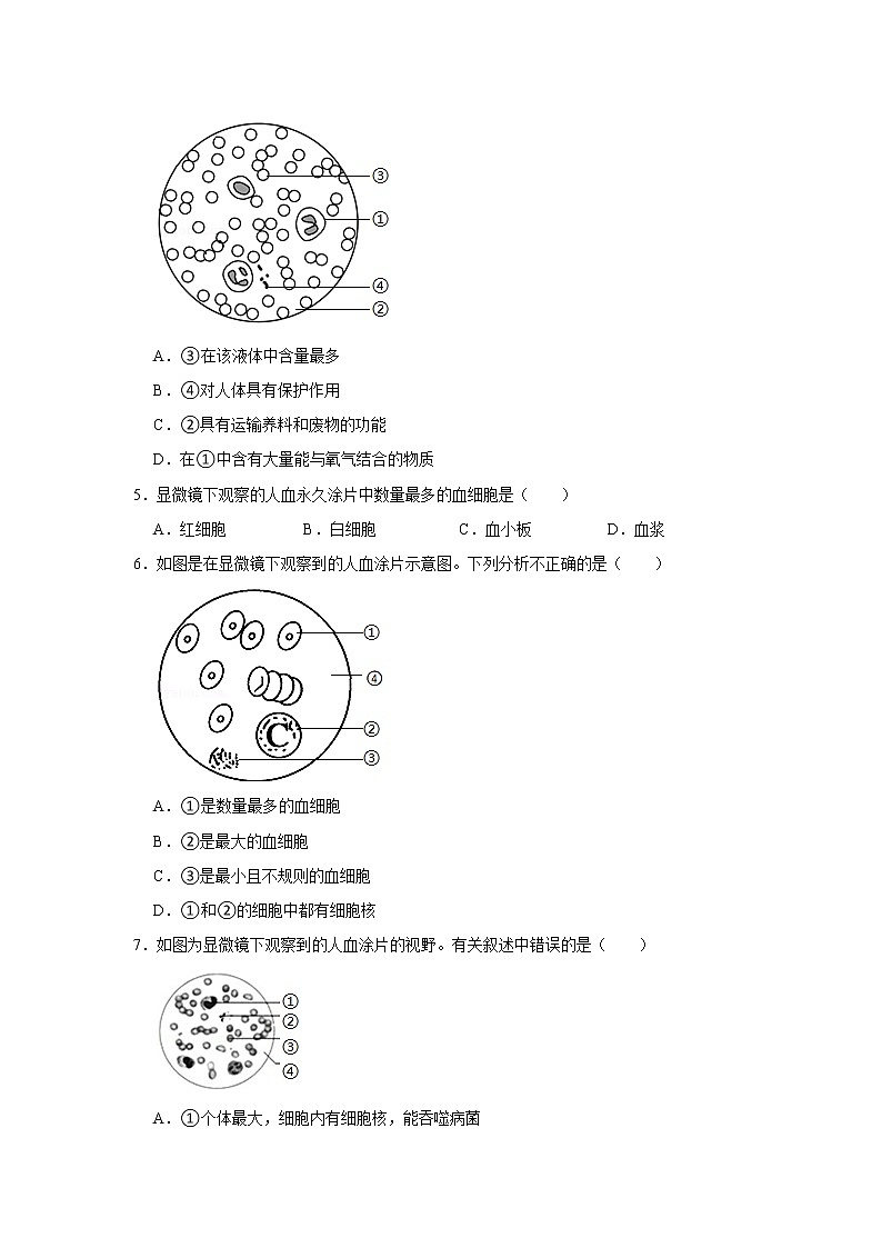 人教版生物七年级下册《流动的组织——血液》课件（送教案+练习）02