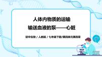 人教版 (新课标)七年级下册第三节 输送血液的泵──心脏完美版课件ppt