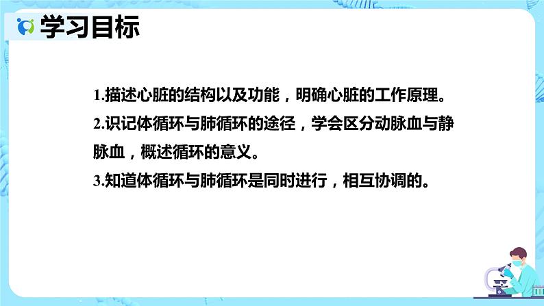 人教版生物七年级下册《输送血液的泵——心脏》课件第2页