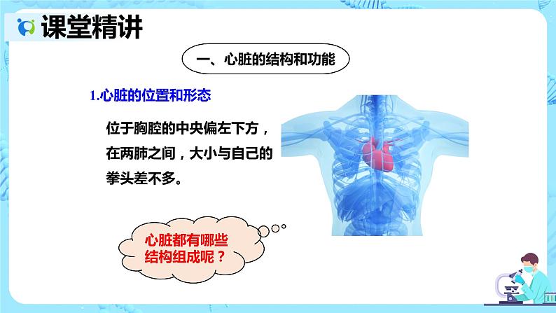 人教版生物七年级下册《输送血液的泵——心脏》课件第6页