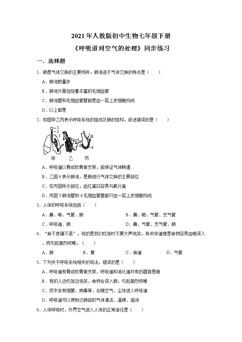 人教版生物七年级下册《呼吸道对空气的处理》课件（送教案+练习）01