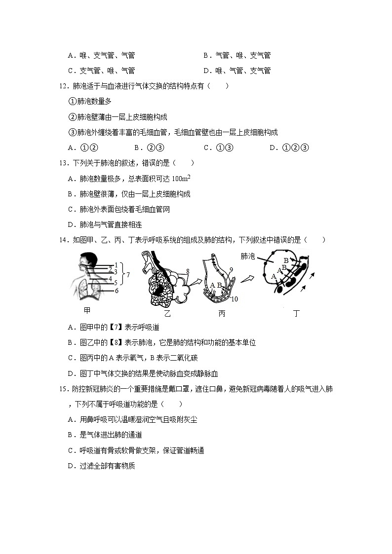 人教版生物七年级下册《呼吸道对空气的处理》课件（送教案+练习）03
