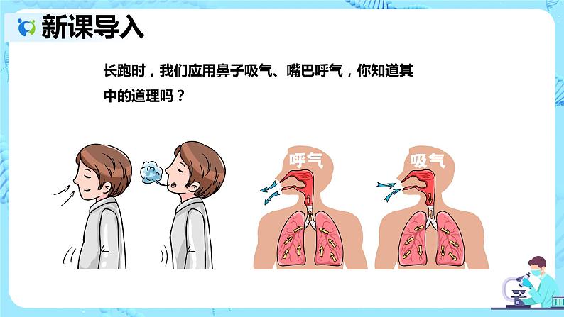 人教版生物七年级下册《呼吸道对空气的处理》课件（送教案+练习）03