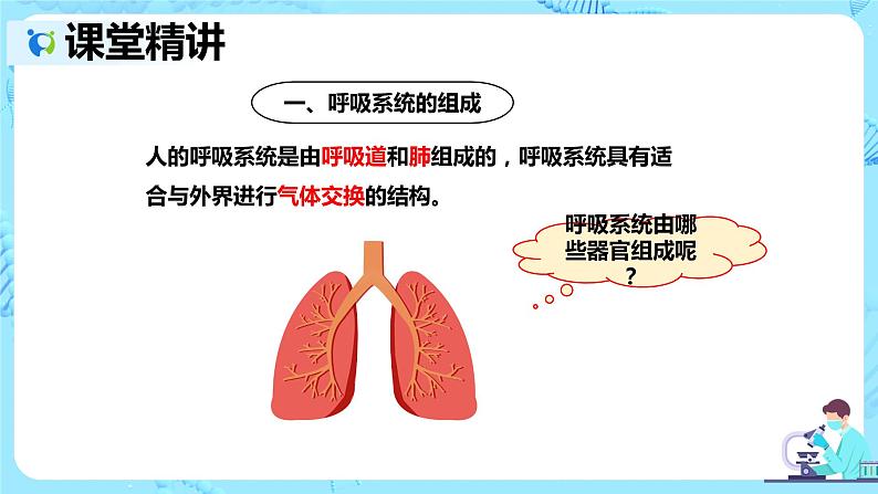 人教版生物七年级下册《呼吸道对空气的处理》课件（送教案+练习）05