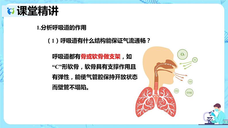 人教版生物七年级下册《呼吸道对空气的处理》课件（送教案+练习）08