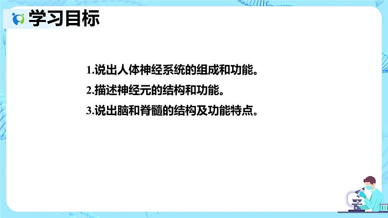 人教版生物七年级下册《神经系统的组成》课件第2页