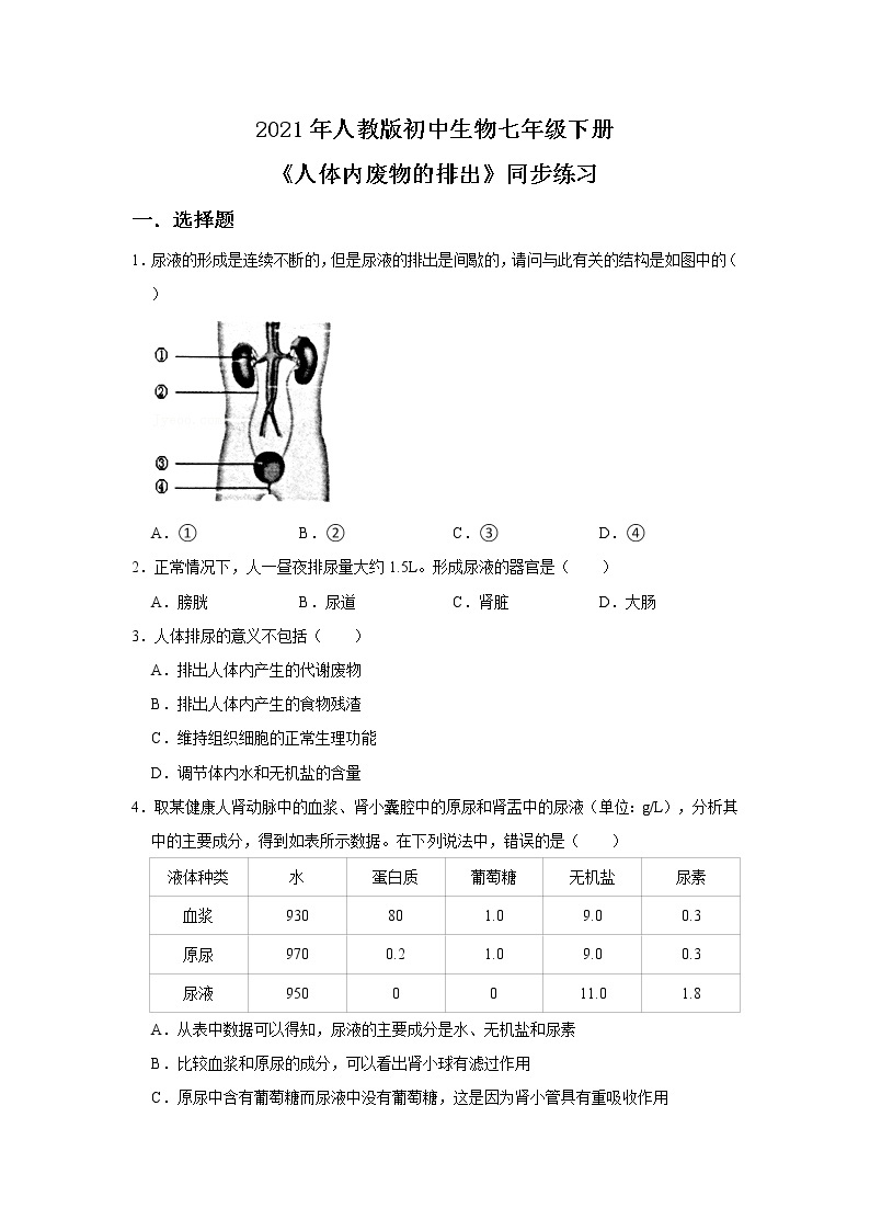 人教版生物七年级下册《人体内废物的排出》课件（送教案+练习）01