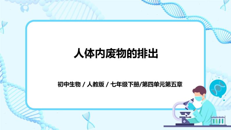 人教版生物七年级下册《人体内废物的排出》课件（送教案+练习）01