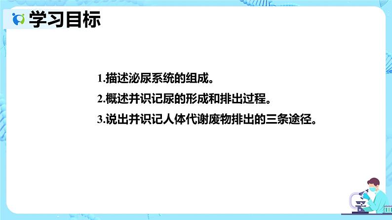 人教版生物七年级下册《人体内废物的排出》课件第2页