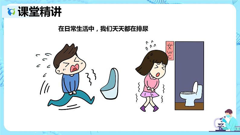 人教版生物七年级下册《人体内废物的排出》课件第3页