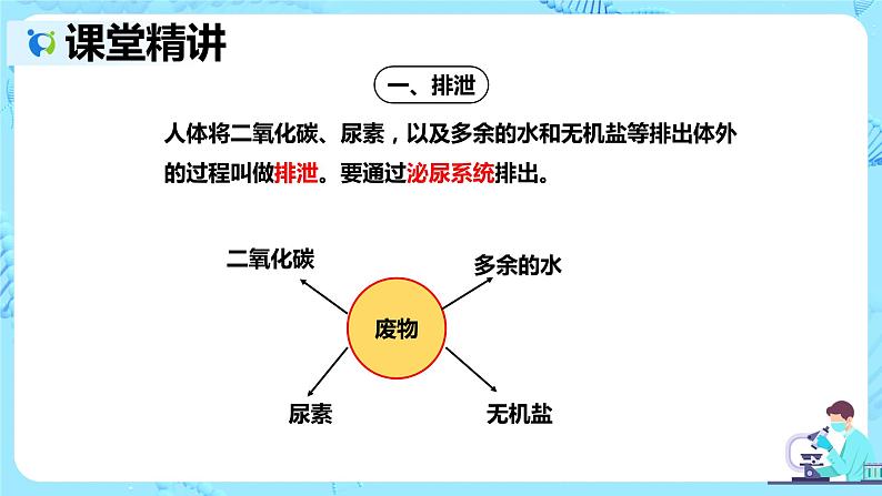 人教版生物七年级下册《人体内废物的排出》课件第5页