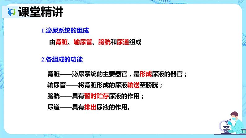 人教版生物七年级下册《人体内废物的排出》课件第8页