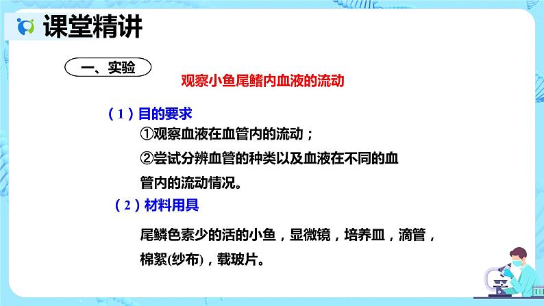 人教版生物七年级下册《血流的管道——血管》课件（送教案+练习）04