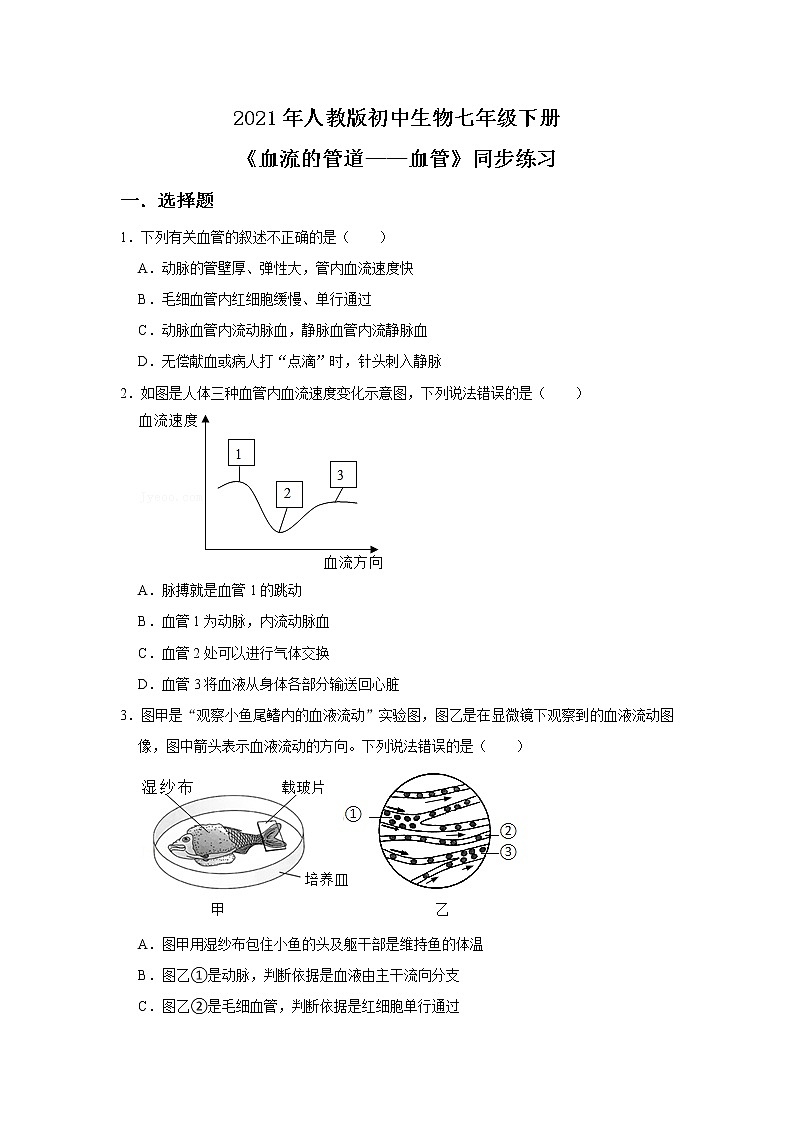 人教版生物七年级下册《血流的管道——血管》课件（送教案+练习）01