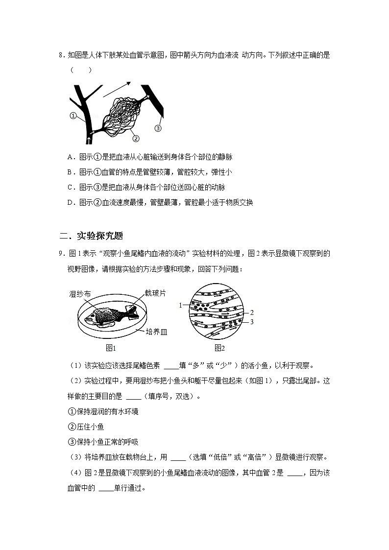 人教版生物七年级下册《血流的管道——血管》课件（送教案+练习）03