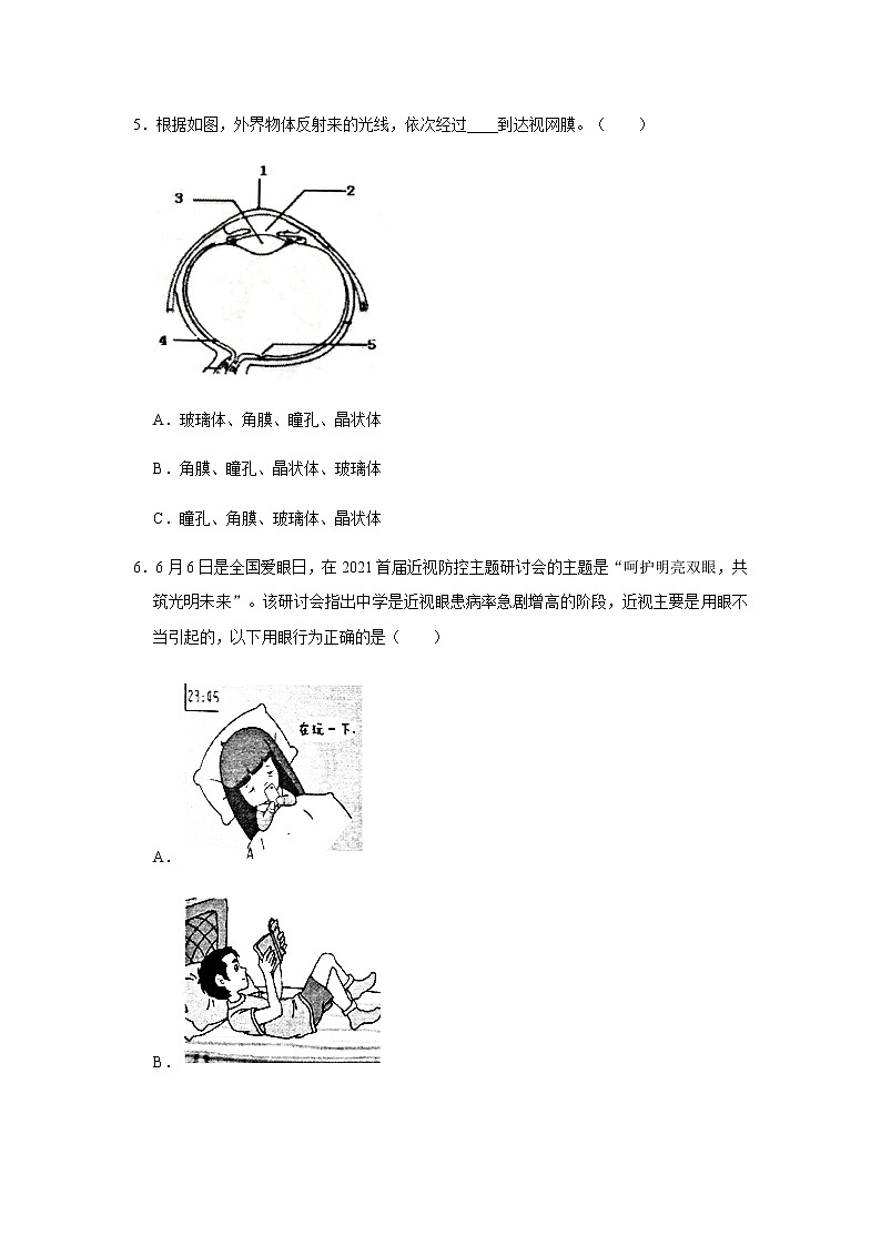 人教版生物七年级下册《人体对外界环境的感知》课件（送教案+练习）02