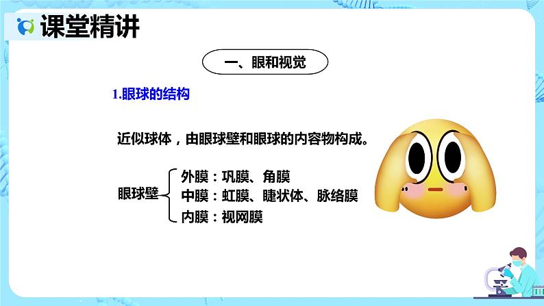 人教版生物七年级下册《人体对外界环境的感知》课件（送教案+练习）04