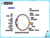 人教版生物七年级下册《人体对外界环境的感知》课件（送教案+练习）