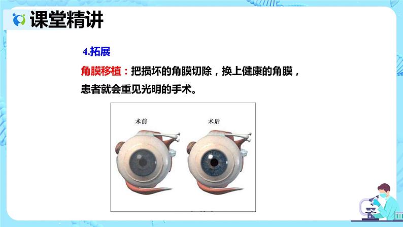 人教版生物七年级下册《人体对外界环境的感知》课件（送教案+练习）08