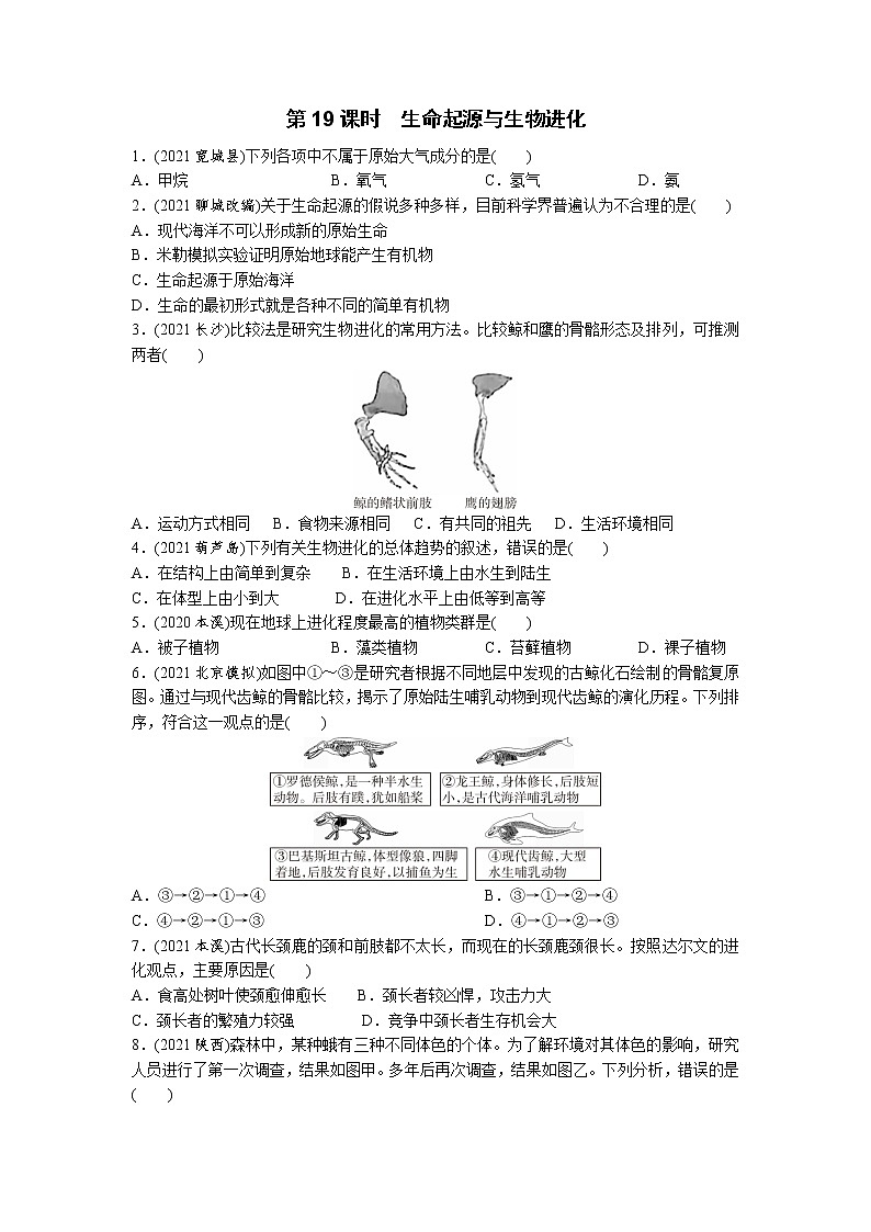 19生命起源与生物进化-2022年中考生物一轮复习微专题考点过关带答案01