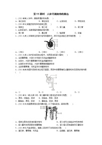 11人体代谢废物的排出-2022年中考生物一轮复习微专题考点过关带答案