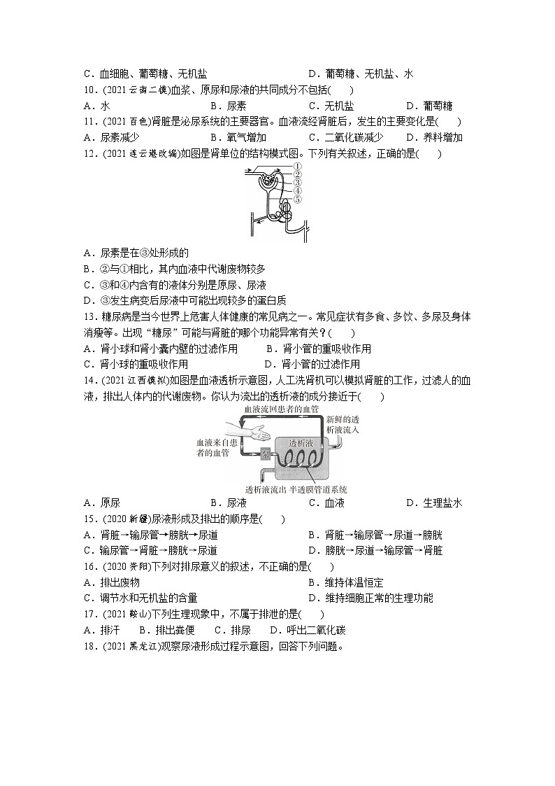 11人体代谢废物的排出-2022年中考生物一轮复习微专题考点过关带答案02