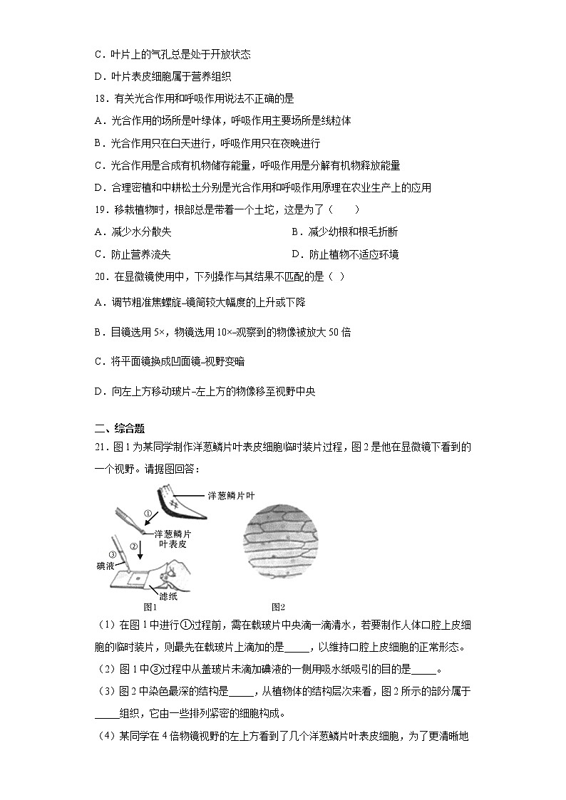 四川省资阳市资阳中学2021-2022学年七年级上学期期末摸底测试生物试题（word版 含答案）03