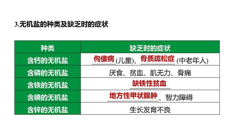 备战2022 中考生物 一轮复习 第十讲 人的营养 课件第5页