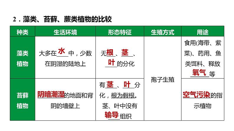 备战2022 中考生物 一轮复习 第四讲 生物圈中有哪些绿色植物 课件第4页