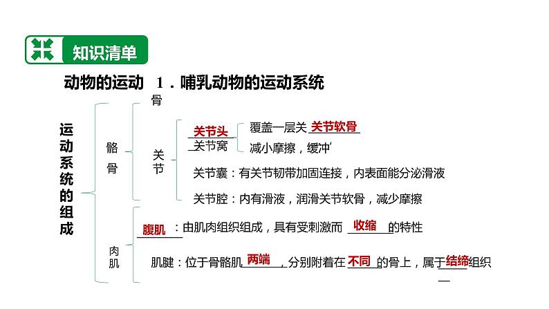 备战2022 中考生物 一轮复习 第十六讲 动物的运动和行为 课件03