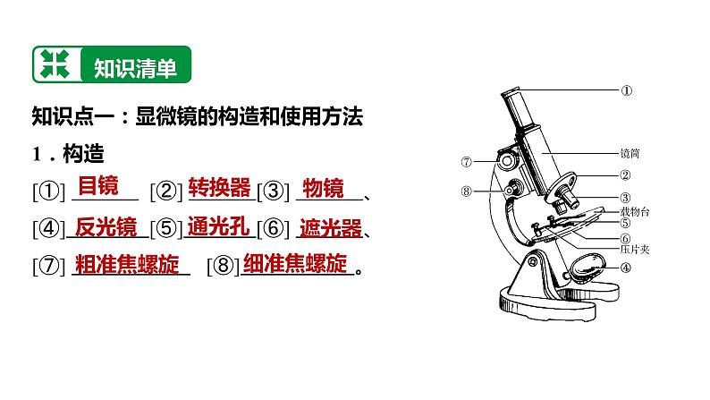 备战2022 中考生物 一轮复习 第二讲 细胞是生命活动的基本单位 课件03