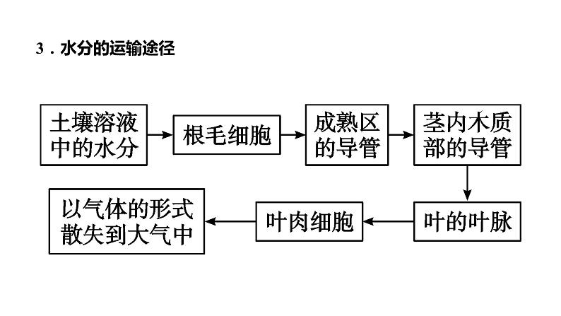 备战2022 中考生物 一轮复习 第六讲 绿色植物与生物圈的水循环 课件04