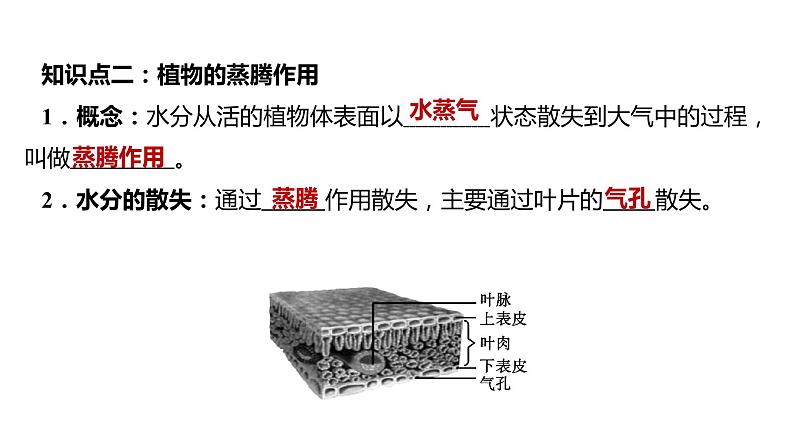 备战2022 中考生物 一轮复习 第六讲 绿色植物与生物圈的水循环 课件05